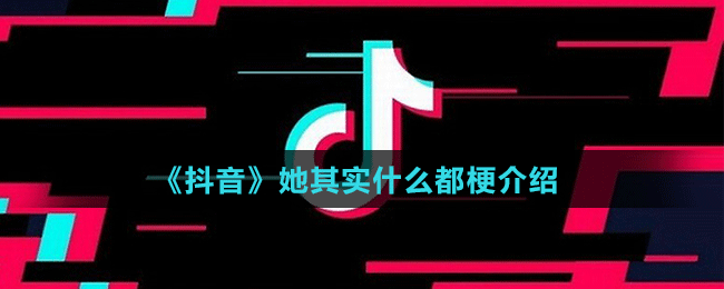 《抖音》她其實什么都梗介紹