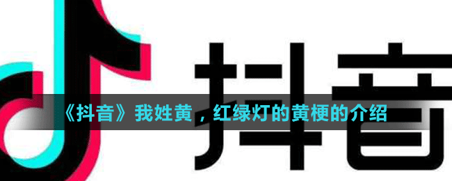 《抖音》我姓黃，紅綠燈的黃梗的介紹