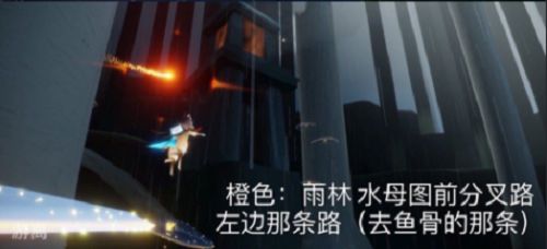 《光遇》2021年11月20日每日任務攻略