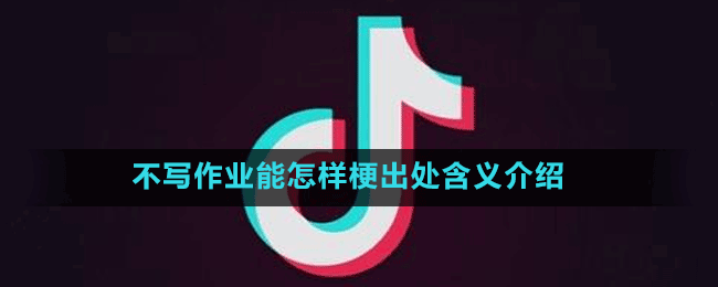不寫(xiě)作業(yè)能怎樣梗出處含義介紹
