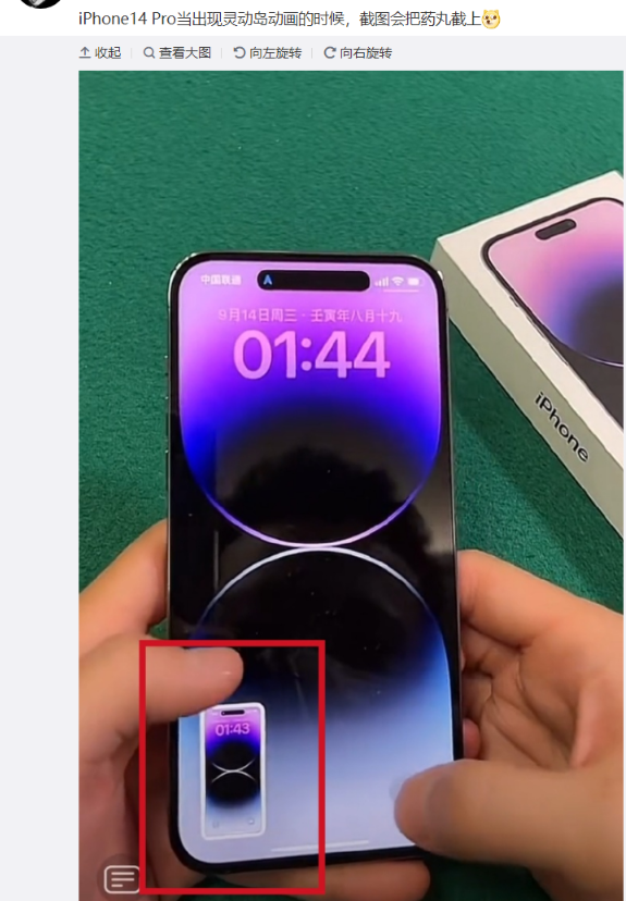 蘋果iPhone14Pro截圖會(huì)顯示靈動(dòng)島動(dòng)畫“藥丸”