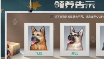 《黎明覺(jué)醒生機(jī)》寵物獲取攻略