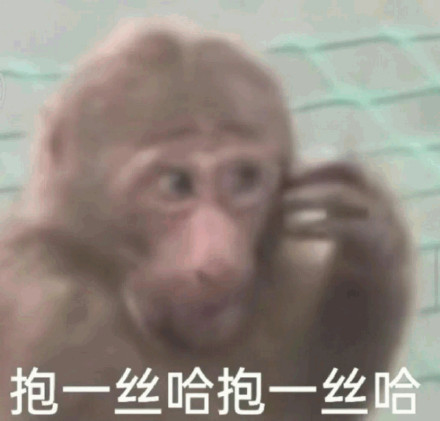 報一絲表情包大全