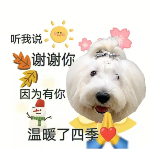 快說(shuō)謝謝小狗表情包大全