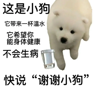 快說(shuō)謝謝小狗表情包大全