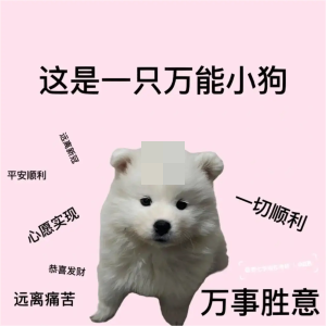 快說(shuō)謝謝小狗表情包大全