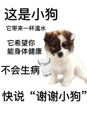 快說(shuō)謝謝小狗表情包大全