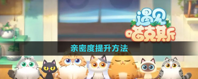《遇見(jiàn)喵克斯》親密度提升方法