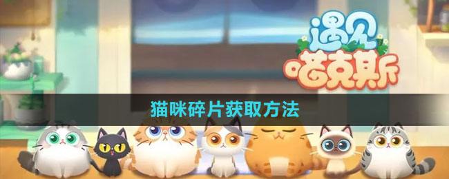 《遇見(jiàn)喵克斯》貓咪碎片獲取方法
