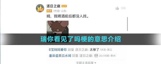 瑞你看見(jiàn)了嗎梗的意思介紹