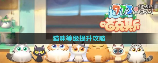 《遇見喵克斯》貓咪等級(jí)提升攻略