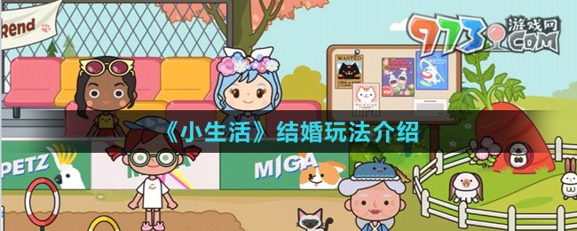 《小生活》結婚玩法介紹