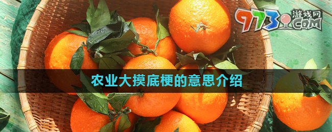 《抖音》農業(yè)大摸底梗的意思介紹