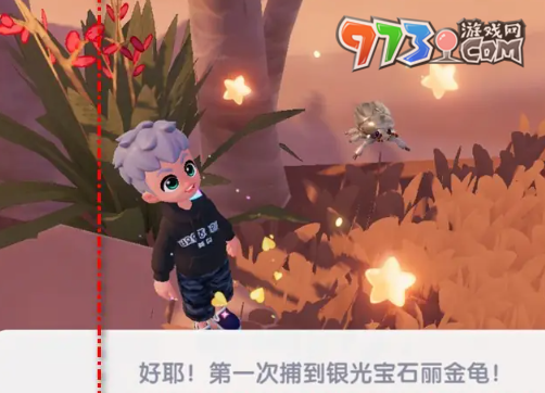 《心動小鎮(zhèn)》銀光寶石麗金龜獲取方法