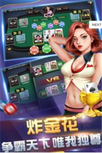 榮華富貴棋牌技巧大全截圖(2)