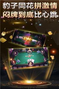 榮華富貴棋牌技巧大全截圖(3)