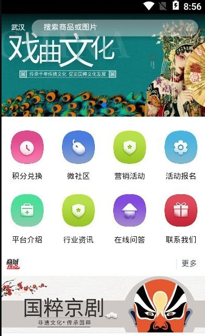 戲曲文化藝術(shù)截圖(4)