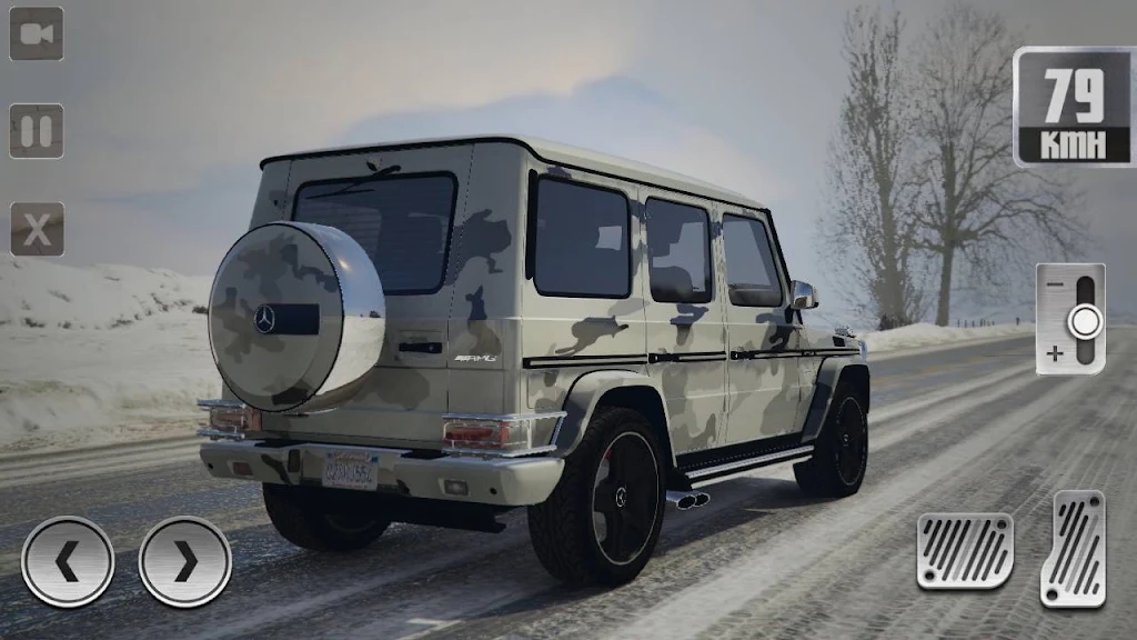 G65停車(chē)模擬器截圖(2)