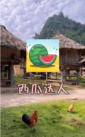 西瓜達人截圖(1)