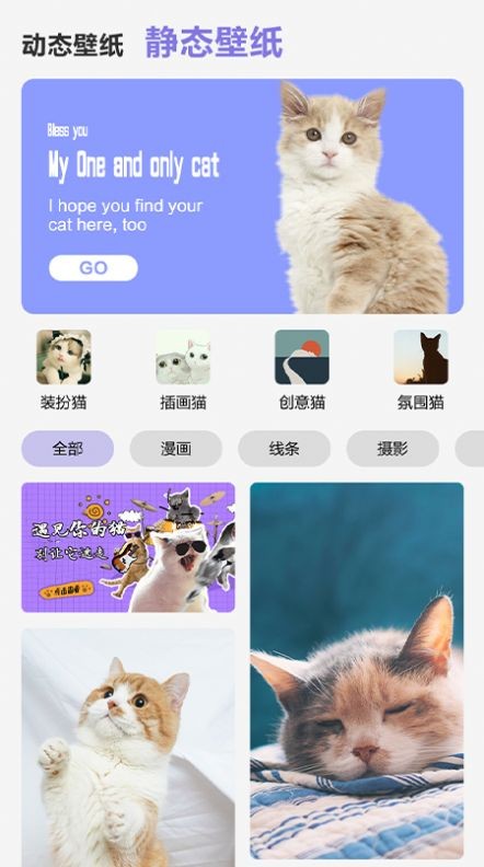 可愛(ài)喵喵壁紙大全截圖(4)
