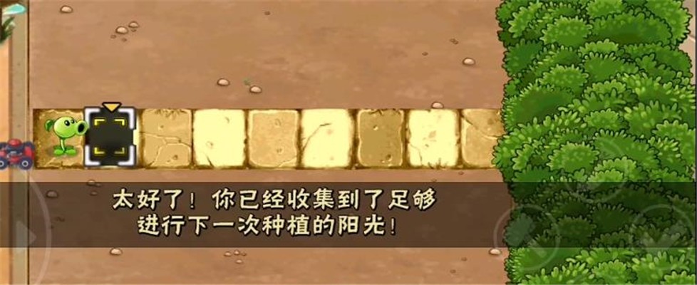 pvz神秘時空截圖(1)