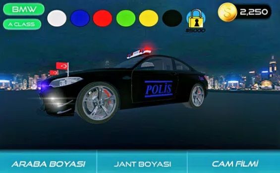 真實寶馬警車駕駛模擬截圖(1)
