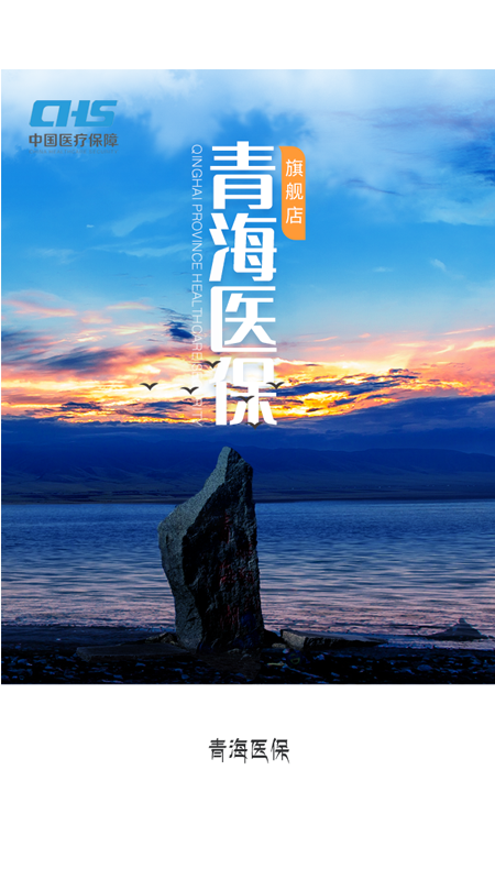 青海醫(yī)保app截圖(1)