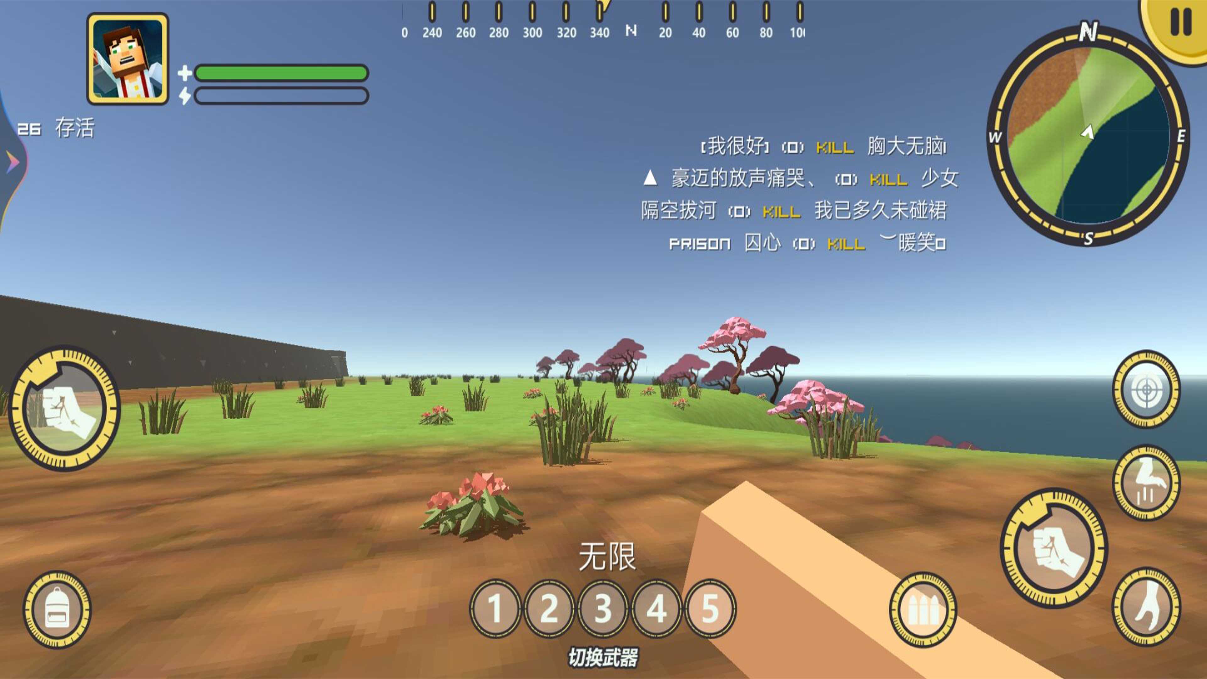 像素吃雞派對(duì)真人聯(lián)機(jī)版截圖(4)