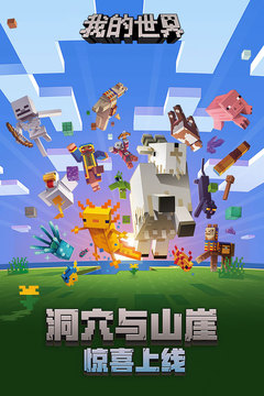 我的世界Java版漢化手機(jī)版截圖(2)