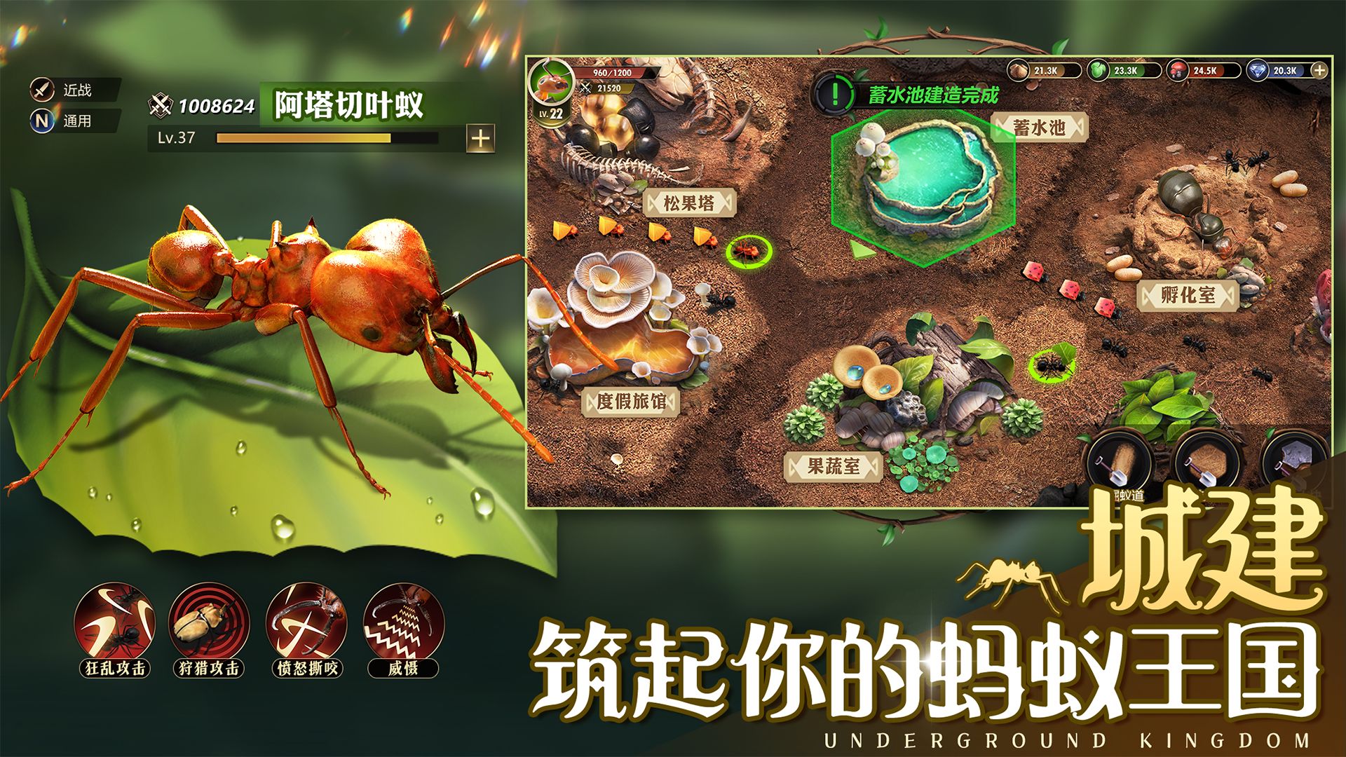 小小蟻國(guó)內(nèi)購(gòu)版截圖(3)