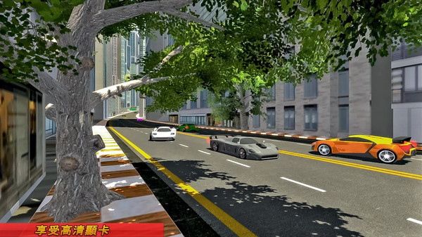瘋狂賽車追逐截圖(4)
