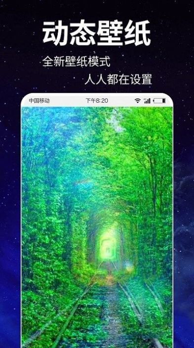 動態(tài)壁紙4k免費(fèi)截圖(4)