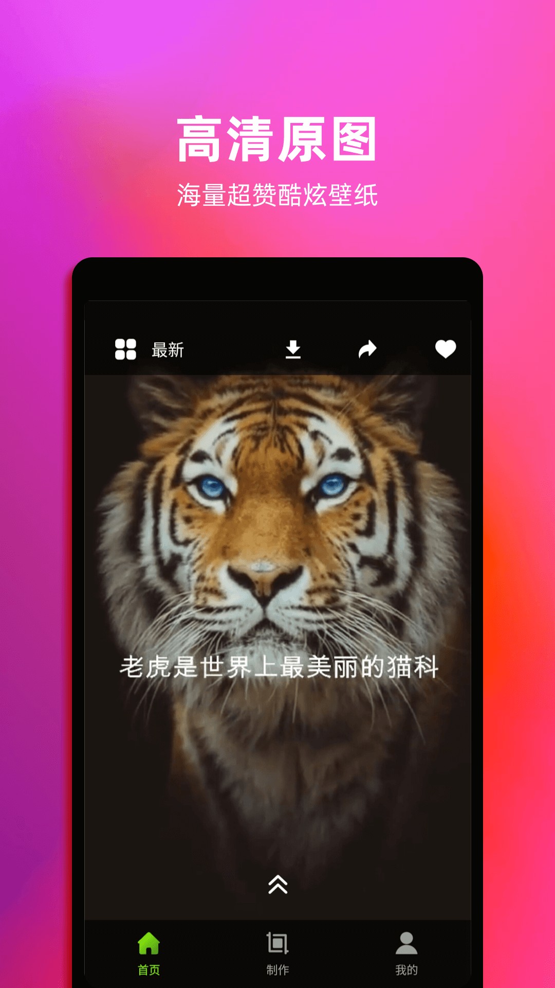 4k動(dòng)態(tài)壁紙截圖(1)