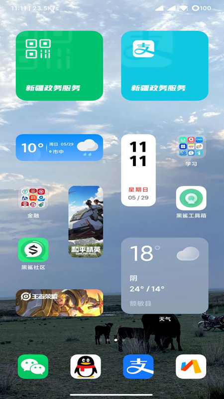 黑鯊刷機助手截圖(1)