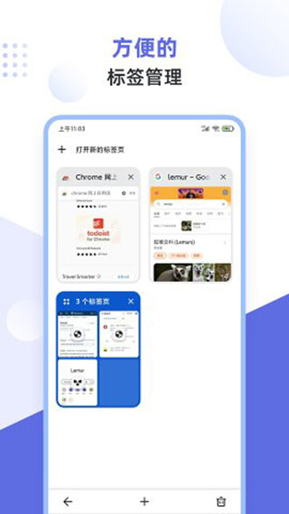 狐猴瀏覽器手機版截圖(1)