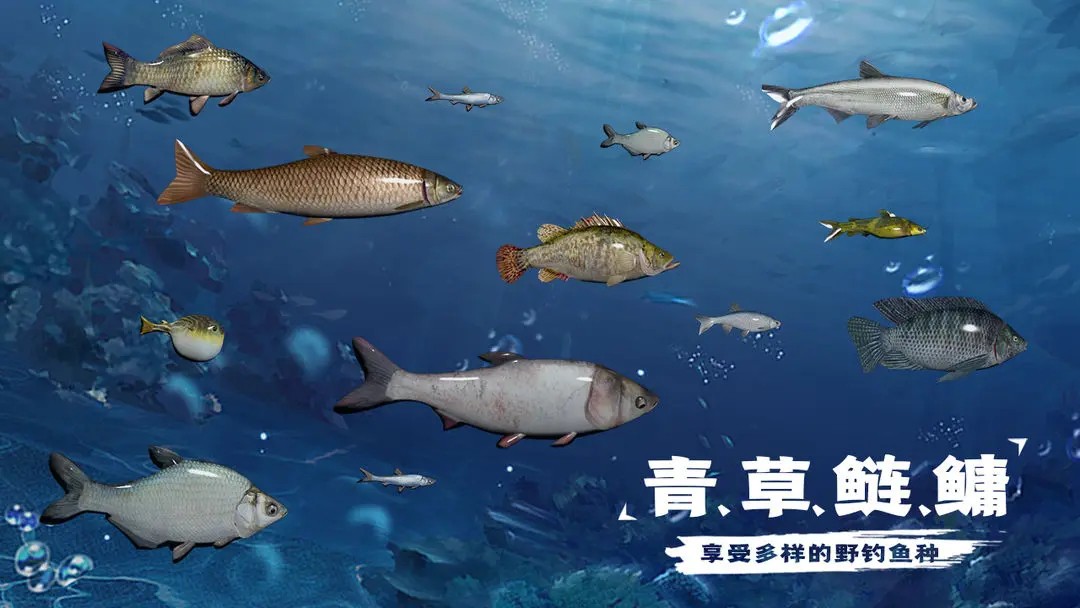 天天釣魚(yú)最新版本截圖(1)