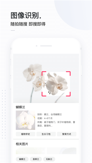 簡單搜索舊版本截圖(1)