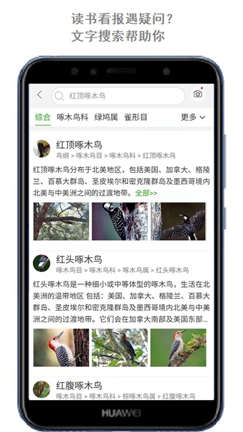 萬物識別截圖(4)