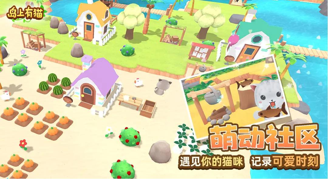 島上有貓截圖(2)