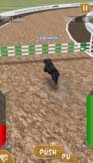 狗狗賽跑3d截圖(2)