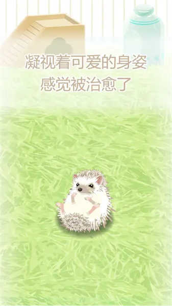 治愈的刺猬育成截圖(2)