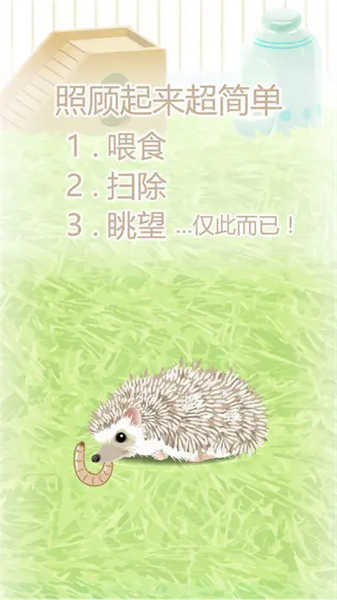 治愈的刺猬育成截圖(3)