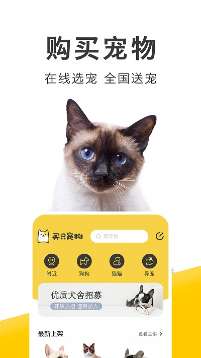 買(mǎi)只寵物截圖(1)