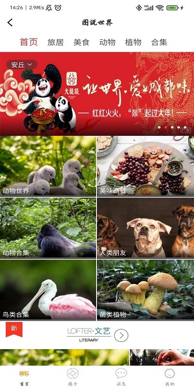 趕點旅居截圖(2)