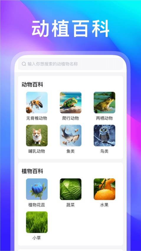 動(dòng)物世界截圖(4)