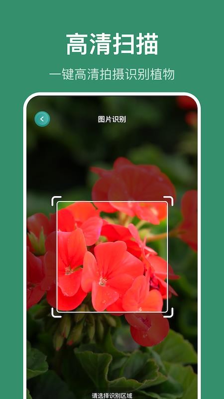 識花草截圖(2)