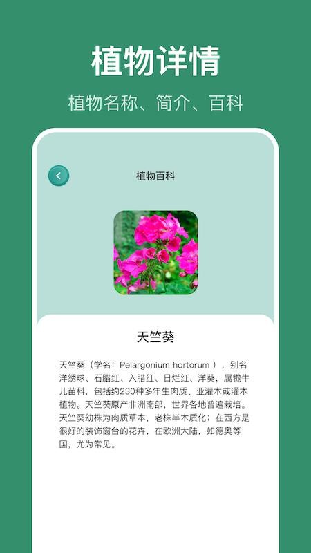 識花草截圖(1)