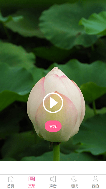心兔音客截圖(4)