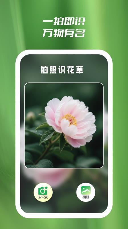 花知道截圖(4)
