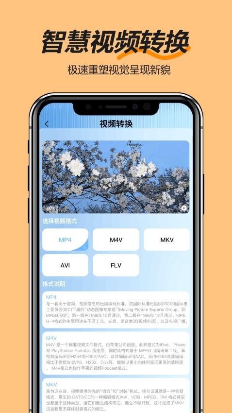 香蕉貓截圖(3)